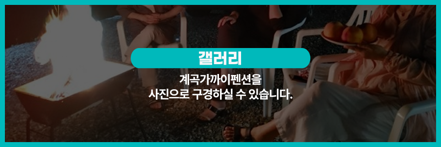 갤러리
