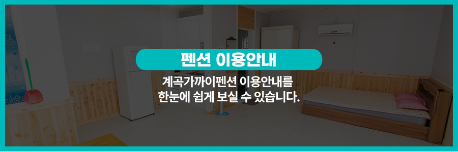 펜션 이용안내